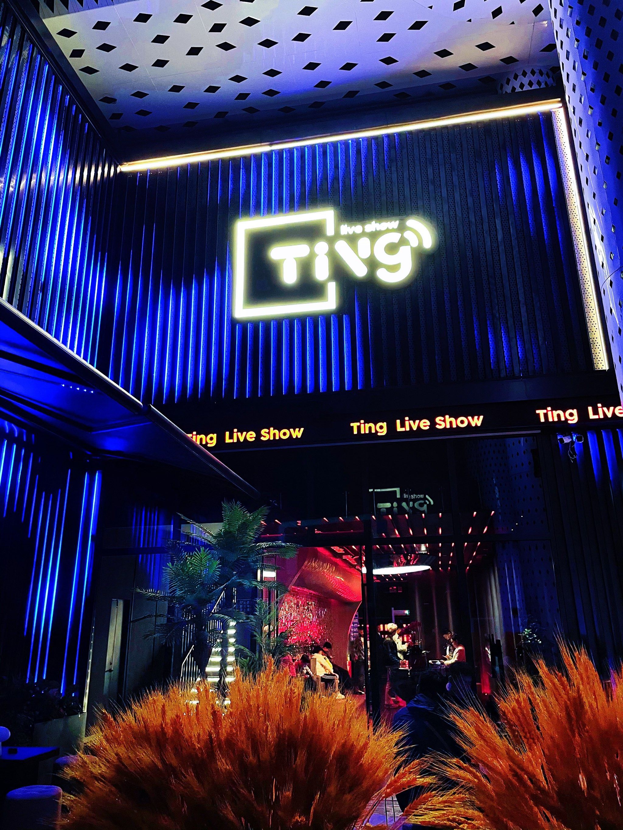 安康商务ktv及商务ktv啥意思解析-宁陕县ktv预订